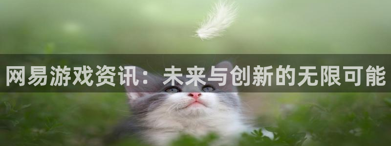 奇亿娱乐平台登录线路：网易游戏资讯：未来与创新的无限可能