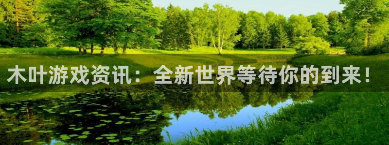 奇亿娱乐娱乐：木叶游戏资讯：全新世界等待你的到来！