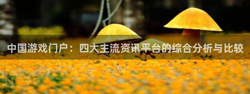 奇亿娱乐4主管：中国游戏门户：四大主流资讯平台的综合分析与比