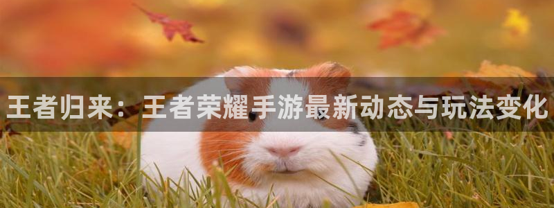 奇亿娱乐app：王者归来：王者荣耀手游最新动态与玩法变化